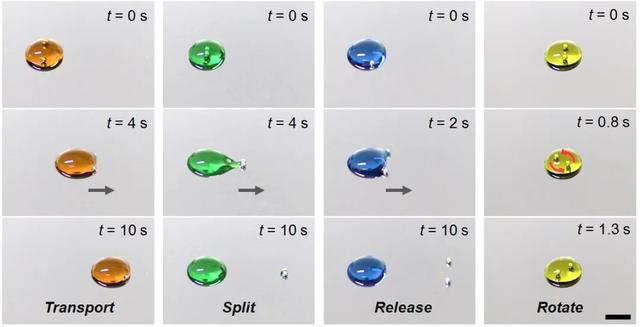 科学家研制出可程序化控制的“液滴机器人”