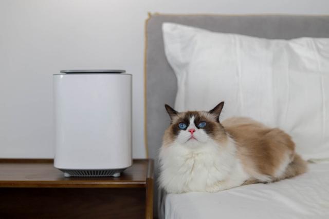 小米有品又击穿行业暴利！469的价格8800的质量，戴森坐不住了！