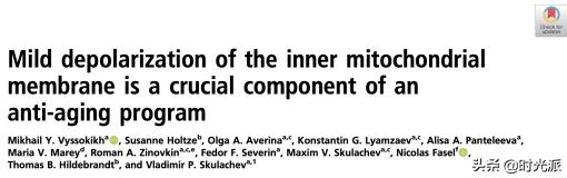 前沿：俄科研团队破解裸鼹鼠长寿之谜，谷歌曾花15亿美元研究未果