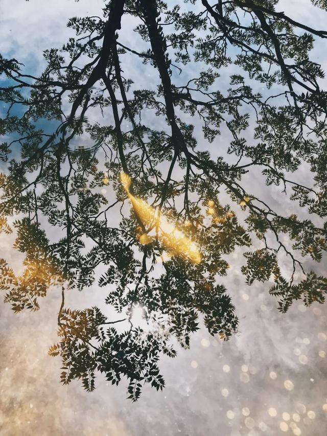 iPhone 相机操作指南 3.0 （一）