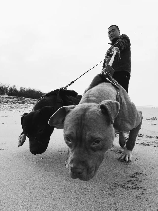 iPhone 相机操作指南 3.0 （一）