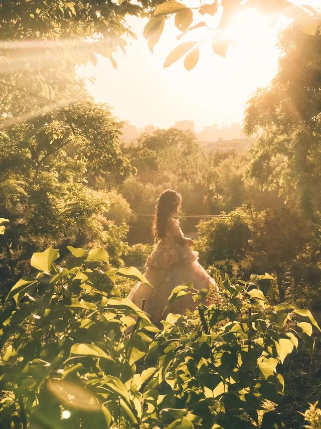 iPhone 相机操作指南 3.0 （一）