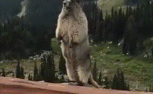 小米有品爆款！年轻人的第一支“仙女棒”，6颗钢珠，90后：要买