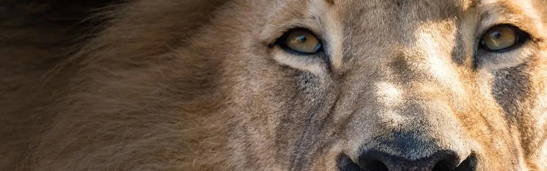 AMD夯实服务器市场 EPYC受教育市场青睐