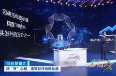 创业者的智慧：研发压电驱动器，提升机器运动控制精度，准到能在头发丝上刻