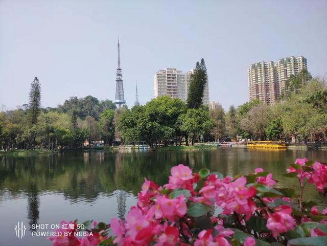 这手机自带游戏作弊功能，还不违规