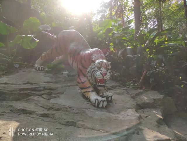 这手机自带游戏作弊功能，还不违规