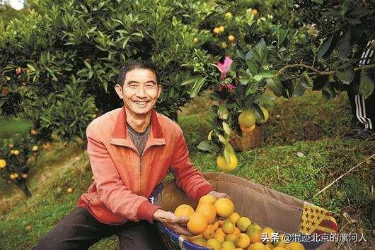 以后农民不再为取快递犯愁:这个方案说，2022年底实现快递送进村!