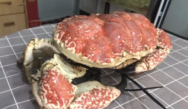 男子上拼多多买“皇帝蟹”，20斤花1500元，掰开后：钱白花了！