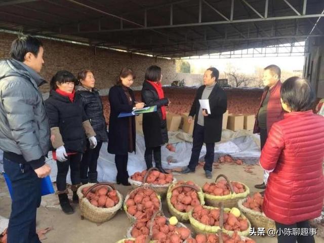 在农村做电商，怎么做成功率会更高，4个实用技巧，可以了解一下