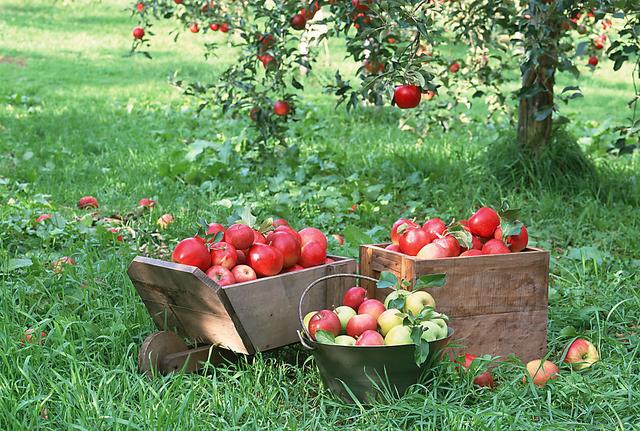 直播带货是未来的趋势？考虑完这几点，你还会这么以为吗？