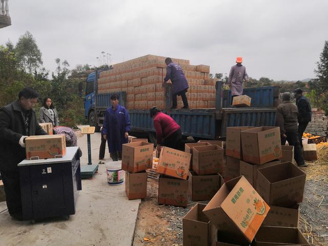 90后农村小伙，如何打破传统的农村电商模式，来打造农产品爆款