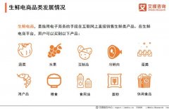 2020年中国生鲜电商发展政策、环境与用户需求分析