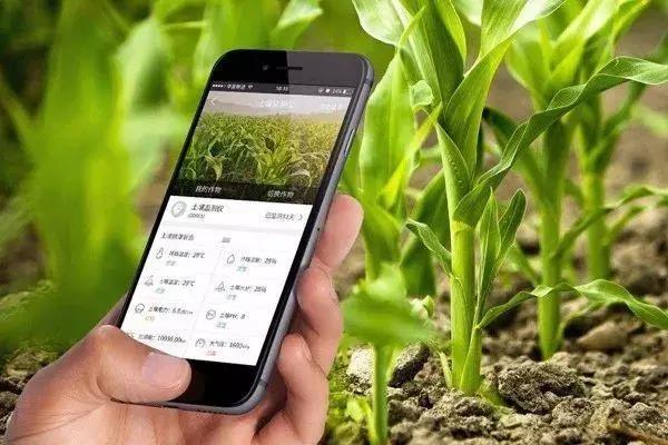 对不起、我要辞职了！跟华为种地了