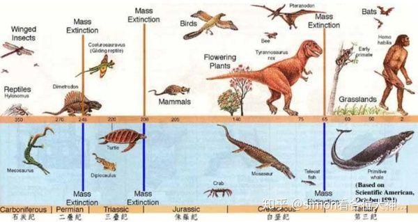 上帝可能是个程序员，你相信吗？