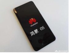 华为自主操作系统“鸿蒙”发布后，现有华为手机能切换新系统吗？