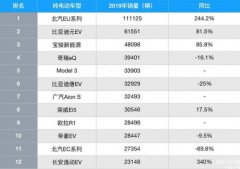 2019中国纯电汽车销量榜：进口车仅特斯拉上榜，北汽成最大赢家