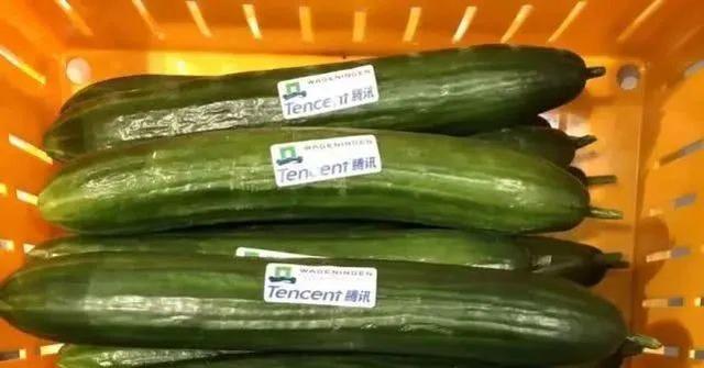 疫情之下，腾讯、阿里、京东加力农业，传递了哪些重要信号？