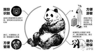 AI养熊猫，先从刷脸开始