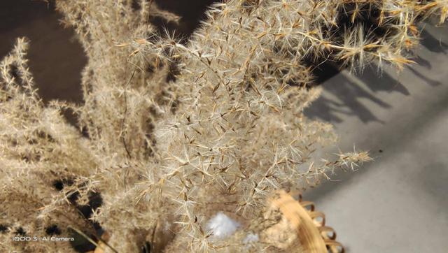 iQOO 3 体验：一专多能哪能样样精通