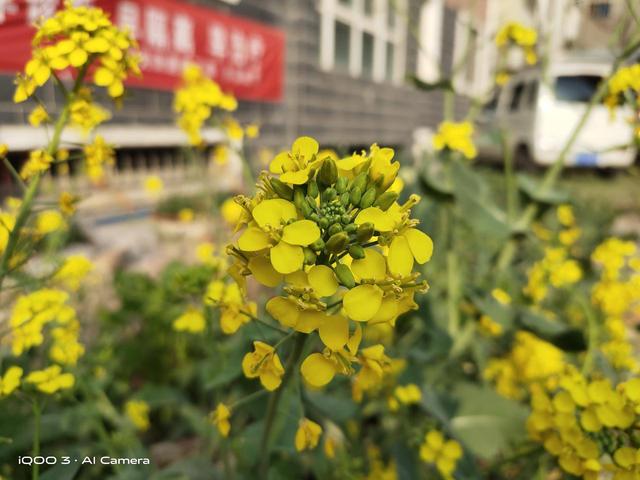 生而强悍的5G性能强机，vivo全新旗舰iQOO 3深度体验