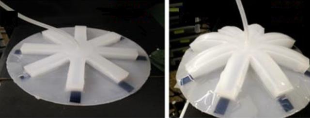 工业之美｜仿生界又出黑科技，这是垂直上升速度最快的水母机器人