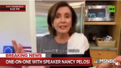 佩洛西声称华人企业Zoom为“中国实体”，美媒指正