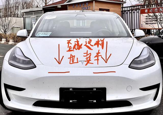 拼接缝不均匀、门把手无法回拉，国产Model 3做工竟糙成这样