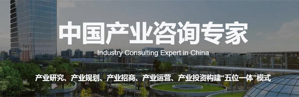 重庆软件产业发展成效明显！2019年软件业务总收入1705亿元