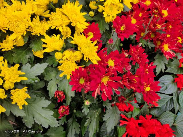 5G 时代的续航小能手，vivo Z6 评测