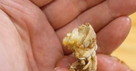 小伙在拼多多买“一元蟹”，一共买了200只，掰开后：这是螃蟹？