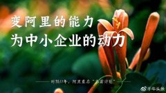 阿里“春雷计划”响，东莞“春雷标杆市”生！