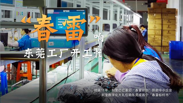 阿里“春雷计划”响，东莞“春雷标杆市”生！