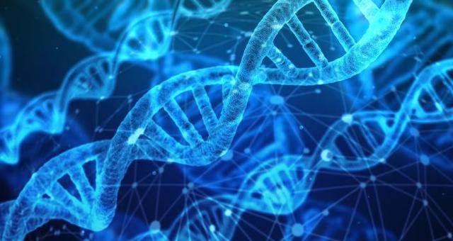 科学家研发出能分辨人粪和狗粪的AI