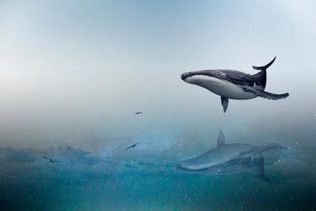 券商获客没成本？可比一杯瑞幸咖啡贵多了！三家券商“搭车”字节跳动 引市场热议