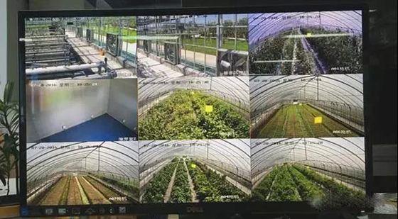 168元的4G路由器真实价值多少？蒲公英4G路由器X4C测评