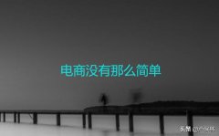 你以为你开个淘宝再搞个网站你就是做电商吗？