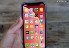 苹果头疼，第一批买iPhone11的果粉给出一个相同的痛点