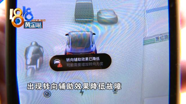 喜提“特斯拉”第五天，核心卖点出故障