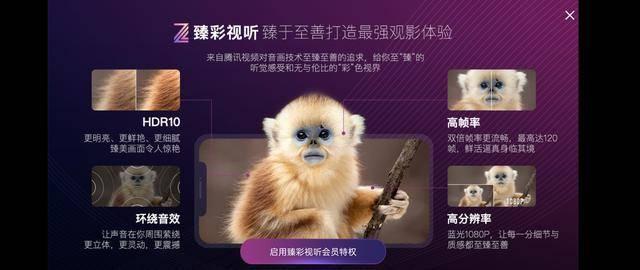 屏幕才是手机关键！盘点高刷旗舰，这款手机真全能无短板