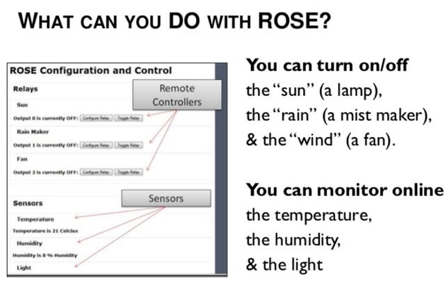 疫情中的斯坦福大学如何在10天内转变为“全面在线教育”？专访斯坦福教育学院副院长