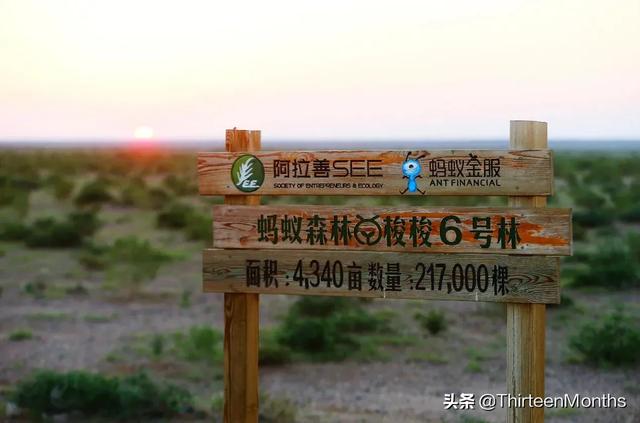 阿里处理蒋凡后，出现了一批被资本迫害“妄想症”患者