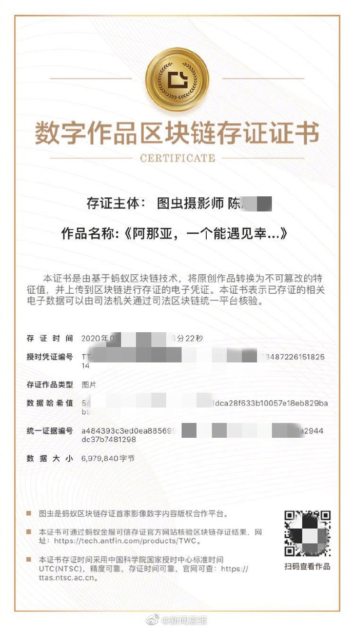 朋友圈晒图被盗？一网友给照片做了个区块链证书