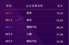 什么家底就敢造电动车啊？新势力背后的这些大佬你都知道吗？