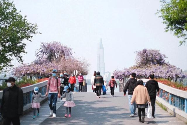 那些从阿里辞职去开民宿的人，后来都怎么样了？