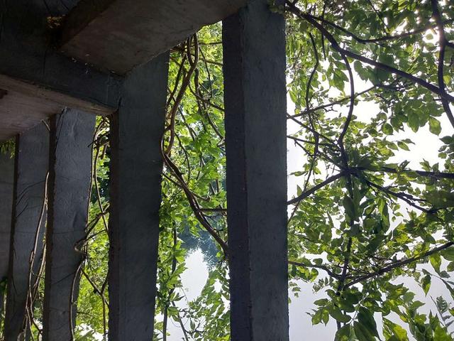 这次和2008年的不一样：年轻人更难了