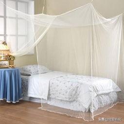 蚊子也有“克星”？2600v电压纯物理输出，灭蚊毫不留情