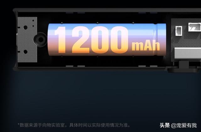 蚊子也有“克星”？2600v电压纯物理输出，灭蚊毫不留情