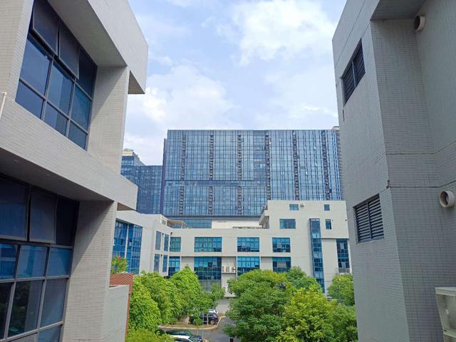 iQOO Z1体验：天玑1000+首秀，性价比太高了