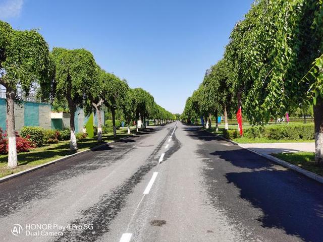 荣耀Play4 Pro：麒麟990+5G+40W快充，却因“不起眼”功能而火